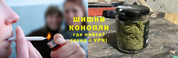 сатива Армянск