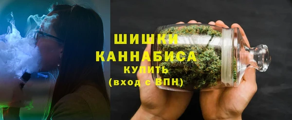 сатива Армянск